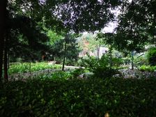 汇鸿家园3室2厅东南西北