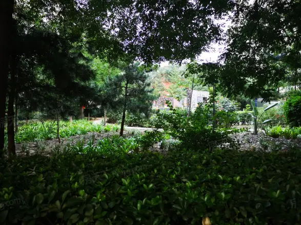 汇鸿家园实景图