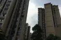 保利梧桐语实景图