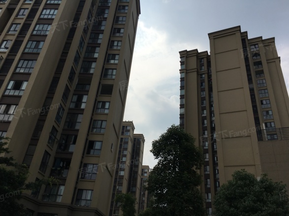 保利梧桐语实景图
