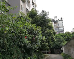 成都早晨2室1厅东