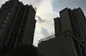 保利梧桐语实景图