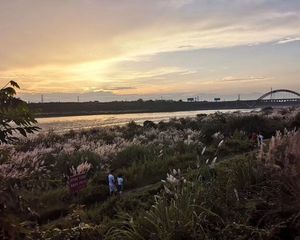 中铁城鉴湖栖郡3室2厅西南