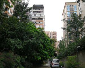 成都早晨3室2厅南