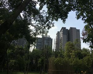 蓝光金悦金沙 3室2厅 东北