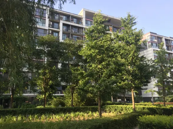 建邦枫景实景图