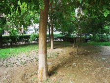 金隅丽景园2室1厅南北