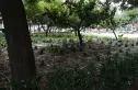 汇鸿家园实景图