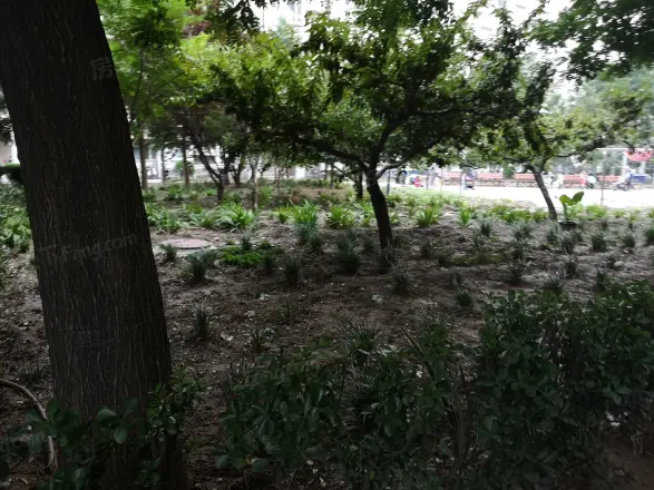 汇鸿家园实景图