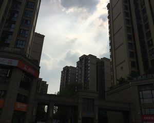 保利梧桐语3室1厅西南