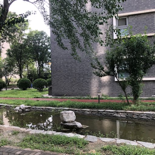  �� ���籱�� һ����ȫ����ɹ���Ұ�� �߲�۾��� �������ٽ� 