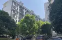 欧洲花园实景图