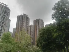 嵩山路 南三环 运河旁 精装四居室 看运河公园 近7号线