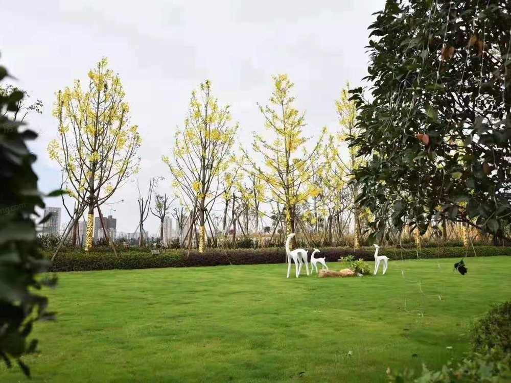 小区相关图