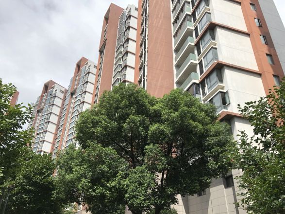 珠江新村实景图