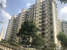 东方华庭5室1厅南