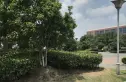 夏桥花园实景图