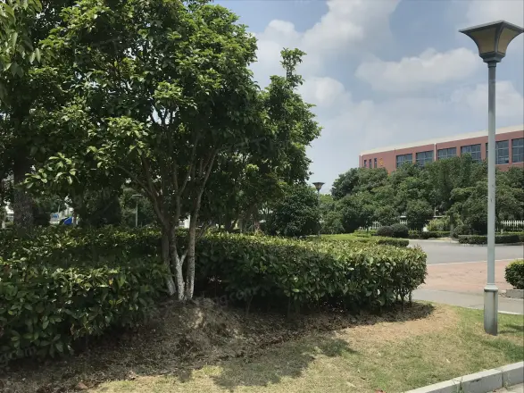 夏桥花园实景图