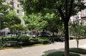 珠江新村实景图