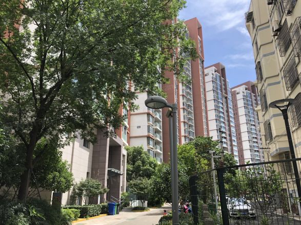 珠江新村实景图