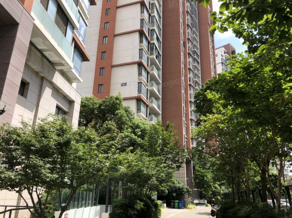 珠江新村实景图