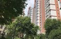 珠江新村实景图