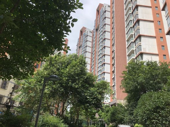 珠江新村实景图
