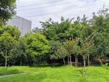 交大归谷国际社区3室1厅东南