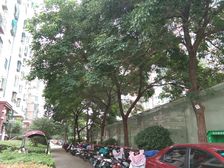 大三室保养得好 房子三室朝南 采光好 户型好 地铁口