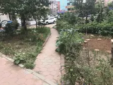 独栋别墅 70年产权,200平大院出门既是地铁