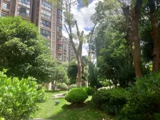 小面积,首付少,小区位置好,房子楼层好