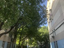 唐镇·荣华苑·3室·2厅