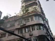 德政中路 小区环境好,绿树成荫,空气清新。