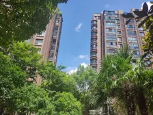 新虹桥雅苑 2室2厅1卫 南