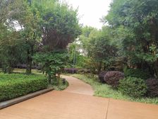 长水航城水杉苑3室2厅西南