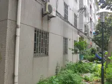 广虹公寓 1室1厅 南