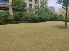 离西门近,满五,税少,位置佳,诚意出