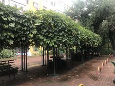 曲线街 1室1厅 南