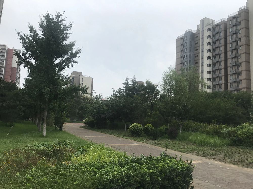 小区相关图