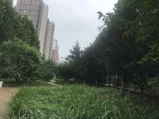 双桥·远洋一方润园1号院·1室·1厅