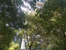 南北全明楼层好+M五+生活方便+无抵押无纠纷+看房方便