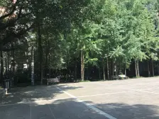 黄泥磅 佳华世纪新城D区三房136万