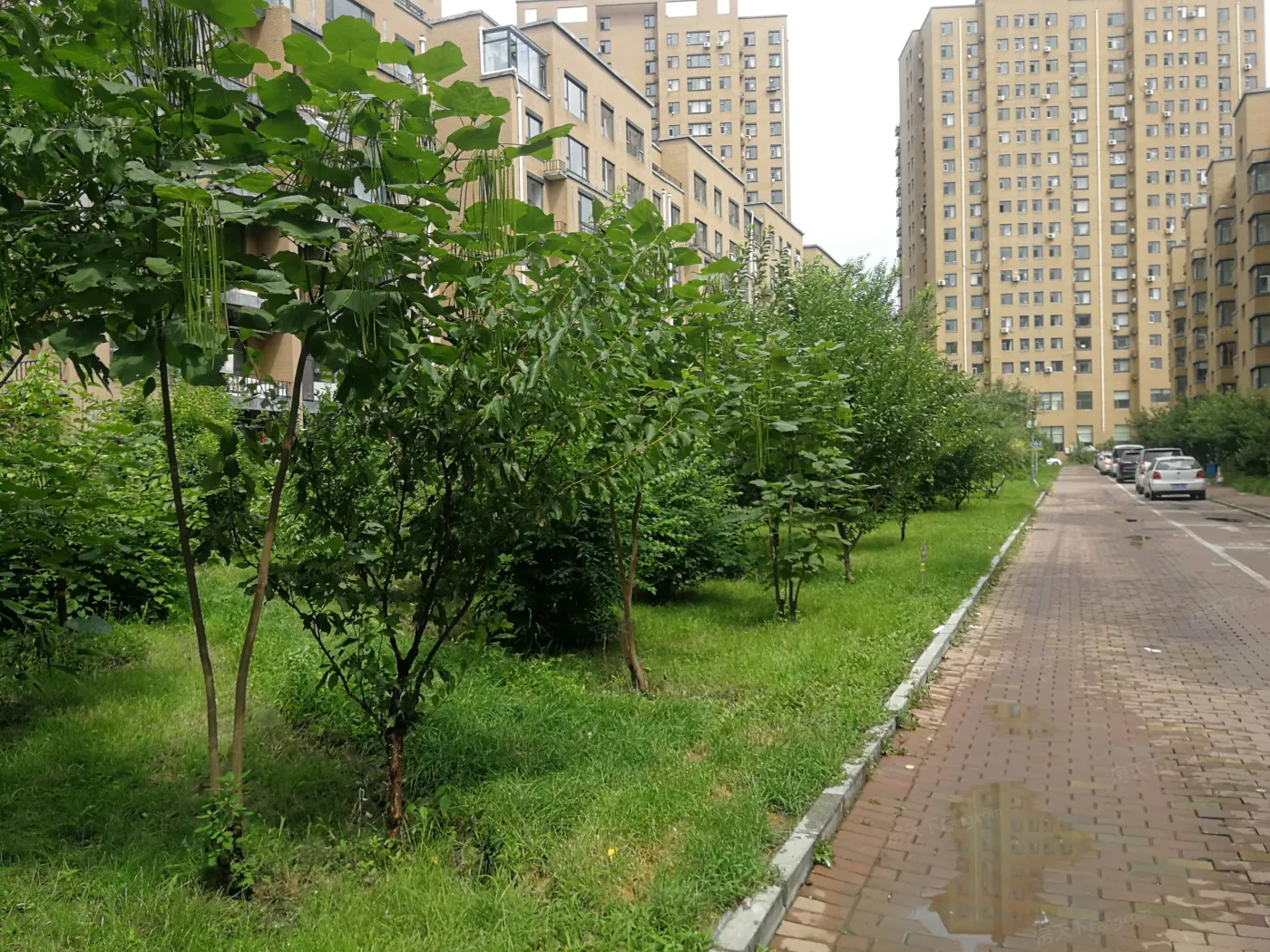 国盛东润枫景