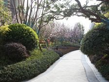 恒大名都珺庭精装大三房,电梯高层视野开阔提包入住