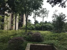 小区环境优美,有池篮球场,羽毛球场