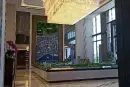 龙光玖誉城实景图