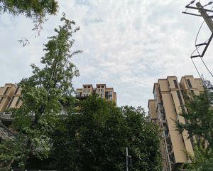 武海西城锦绣1室1厅东