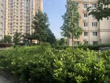 精装 无抵押,满五 新上房源