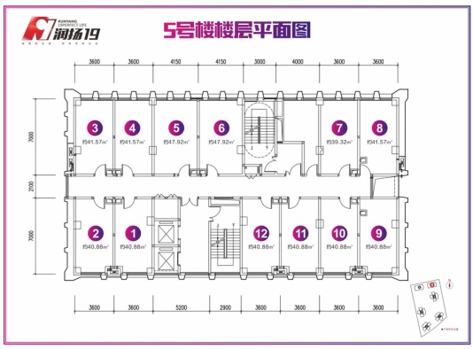 楼栋平面图