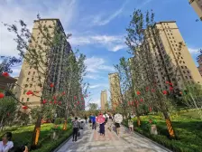 花园住宅,细品人生,大名墅好房出售